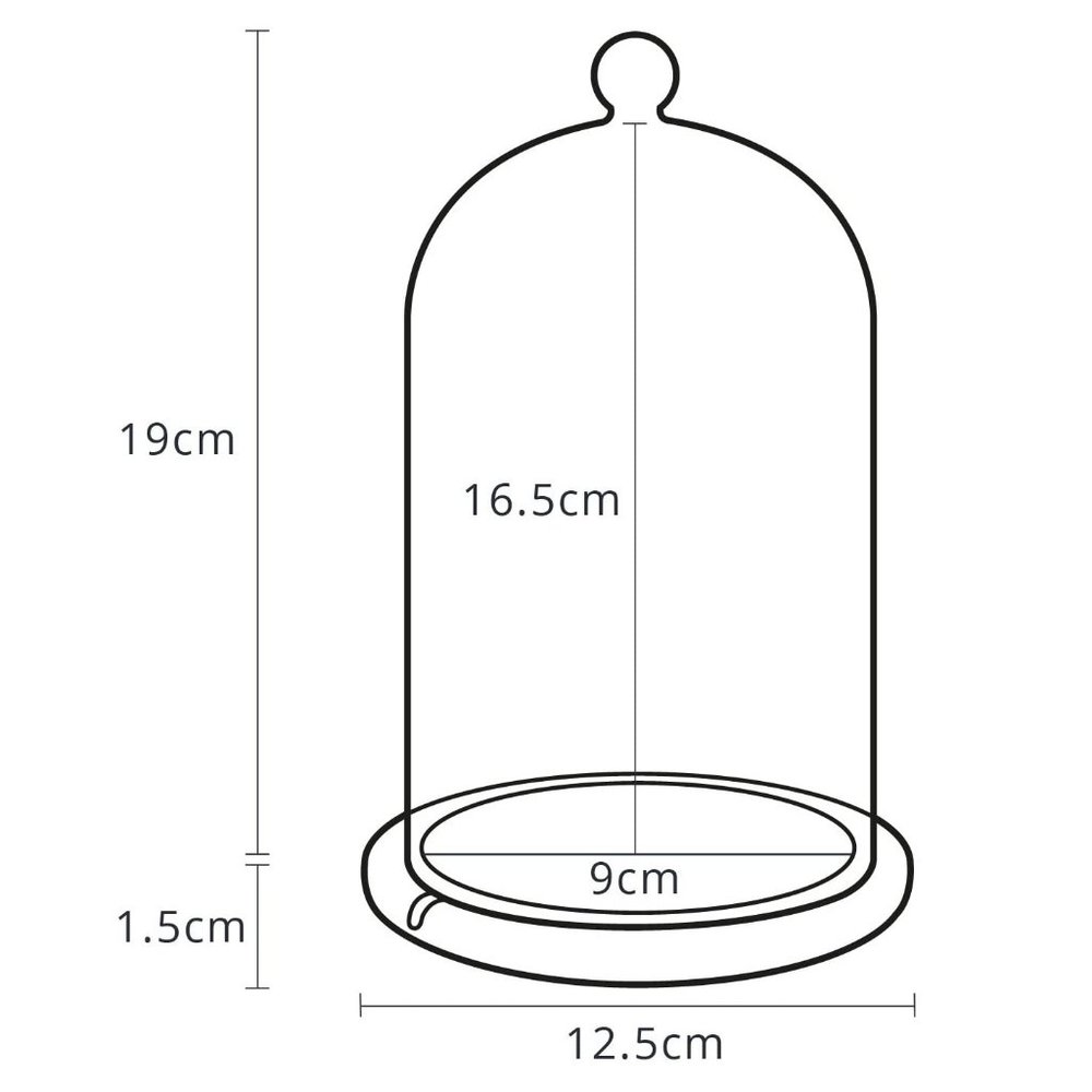 NWOT Glass Cloche Bell Jar Display Dome With Wooden Base - Picture 7 of 7